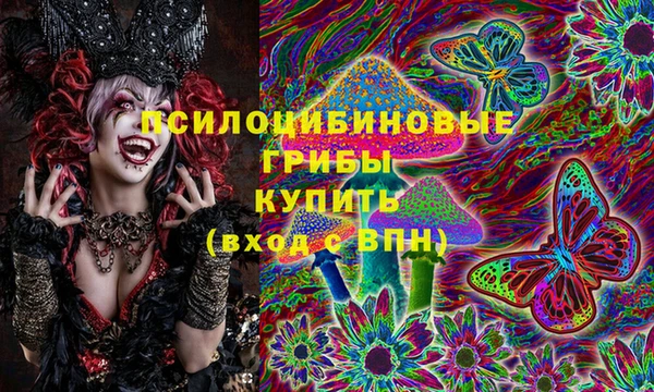 стаф Бугульма