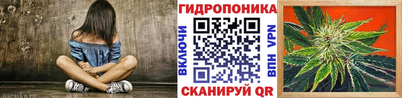как найти наркотики  Данков  Каннабис сатива 